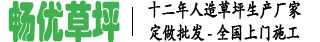 揚州市暢優草坪地毯有限公司